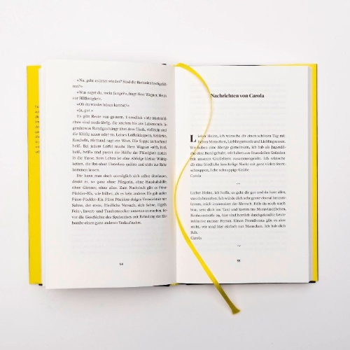 Buchcover und Innenansicht für das Buch: Der gelbe Elefant