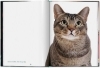 Buchcover und Innenansicht für das Buch: Walter Chandoha. Cats. Photographs 1942-2018