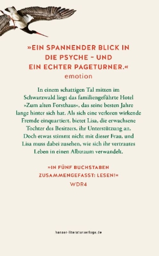 Buchcover und Innenansicht für das Buch: Schattengrünes Tal