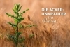 Buchcover und Innenansicht für das Buch: Geheimnisse der Unkräuter