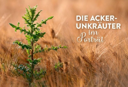 Buchcover und Innenansicht für das Buch: Geheimnisse der Unkräuter