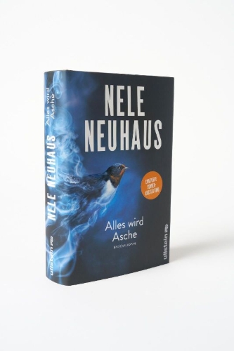Buchcover und Innenansicht für das Buch: Alles wird Asche