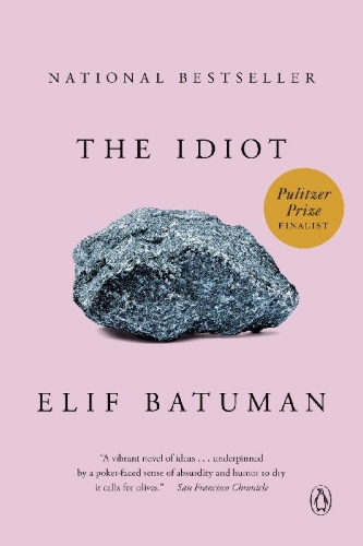 Buchcover und Innenansicht für das Buch: The Idiot