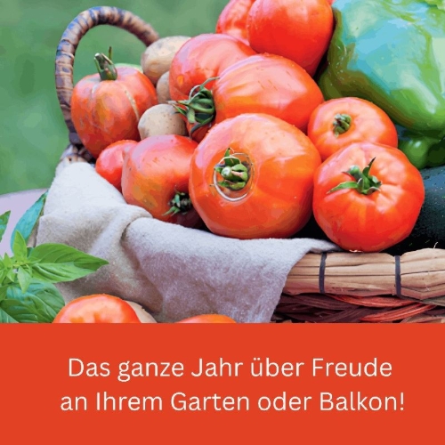 Buchcover und Innenansicht für das Buch: Durchs Jahr 2027 mit KAFFEE ODER TEE