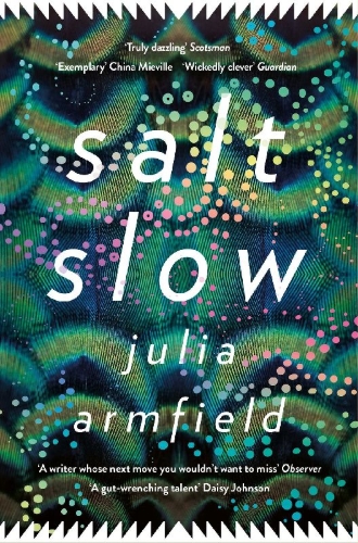 Buchcover und Innenansicht für das Buch: Salt Slow