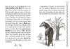 Buchcover und Innenansicht für das Buch: Charlottes Traumpferd 2: Gefahr auf dem Reiterhof
