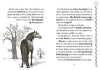 Buchcover und Innenansicht für das Buch: Charlottes Traumpferd 1: Charlottes Traumpferd