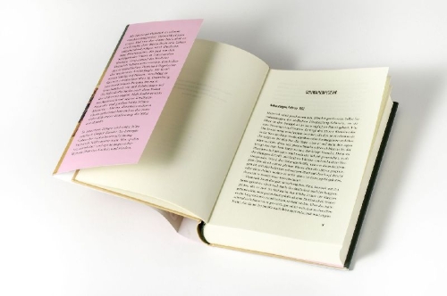 Buchcover und Innenansicht für das Buch: Troja, später Nachmittag