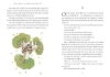 Buchcover und Innenansicht für das Buch: The Little Prince. 80th Anniversary Edition