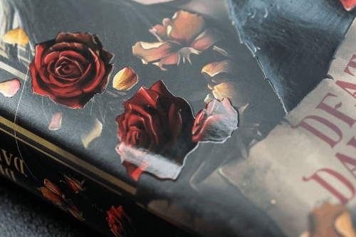 Buchcover und Innenansicht für das Buch: Deaths's Daughter