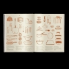Buchcover und Innenansicht für das Buch: A Spoonful of Sun (New Edition)