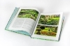 Buchcover und Innenansicht für das Buch: Great Gardens of London