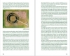 Buchcover und Innenansicht für das Buch: Im Rhythmus der Natur