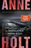 Buchcover und Innenansicht für das Buch: Diamanter og rust