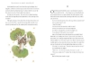 Buchcover und Innenansicht für das Buch: The Little Prince (Adult Edition)