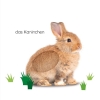 Buchcover und Innenansicht für das Buch: Erstes Lernen Fühl-Leporello. Haustiere