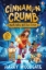 Buchcover und Innenansicht für das Buch: Cinnamon Crumb, Baking Detective: The Great Cake Caper