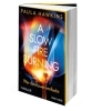 Buchcover und Innenansicht für das Buch: A Slow Fire Burning