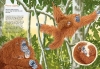 Buchcover und Innenansicht für das Buch: Rüsseln, schnäbeln, lausen - Wie Tiere ihre Gefühle zeigen