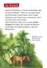 Buchcover und Innenansicht für das Buch: Pixi Wissen 1: Pferde und Ponys