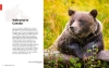 Buchcover und Innenansicht für das Buch: Best Road Trips Canada