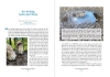 Buchcover und Innenansicht für das Buch: Die Wunderwelt der Pfützen
