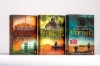 Buchcover und Innenansicht für das Buch: Jomsviking