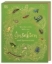 Buchcover und Innenansicht für das Buch: Wundervolle Welt der Insekten und Spinnentiere