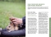 Buchcover und Innenansicht für das Buch: Stress beim Hund verstehen