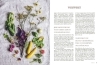 Buchcover und Innenansicht für das Buch: Natürlich aus dem Ofen: Pizza, Quiche, Tarte & Pie