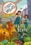 Buchcover und Innenansicht für das Buch: School of Talents Mission 2: Fette Beute!
