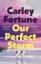 Buchcover und Innenansicht für das Buch: Our Perfect Storm