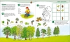 Buchcover und Innenansicht für das Buch: WAS IST WAS Junior Mitmach-Heft Wald