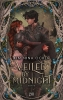 Buchcover und Innenansicht für das Buch: Veiled by Midnight