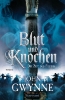 Buchcover und Innenansicht für das Buch: A Time of Blood (Of Blood and Bone 2)
