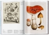 Buchcover und Innenansicht für das Buch: Science Illustration