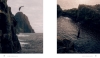 Buchcover und Innenansicht für das Buch: Wild Atlantic