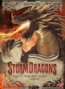 Buchcover und Innenansicht für das Buch: The Storm Dragons Saga 03 - Skyshattered