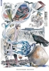 Buchcover und Innenansicht für das Buch: RAN TO HAIIRO NO SEKAI