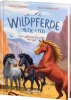 Buchcover und Innenansicht für das Buch: Wildpferde - mutig und frei (Band 7) - Der geheimnisvolle Hengst